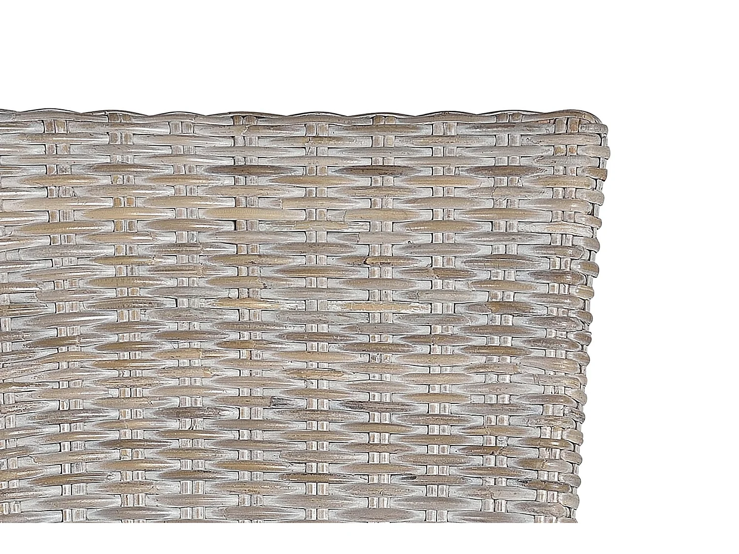 Lot de 2 chaises en rotin avec coussin inclus