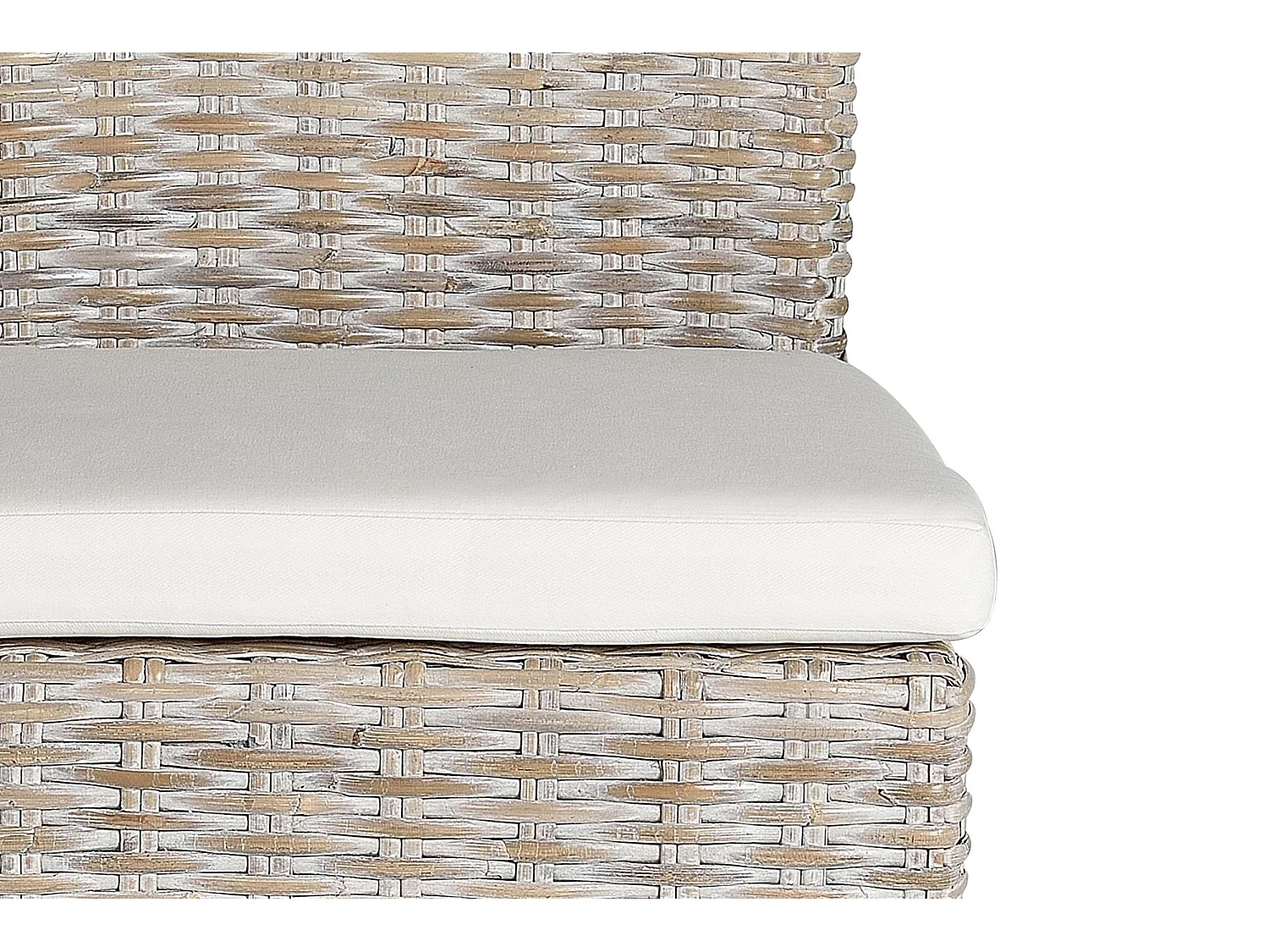 Lot de 2 chaises en rotin avec coussin inclus