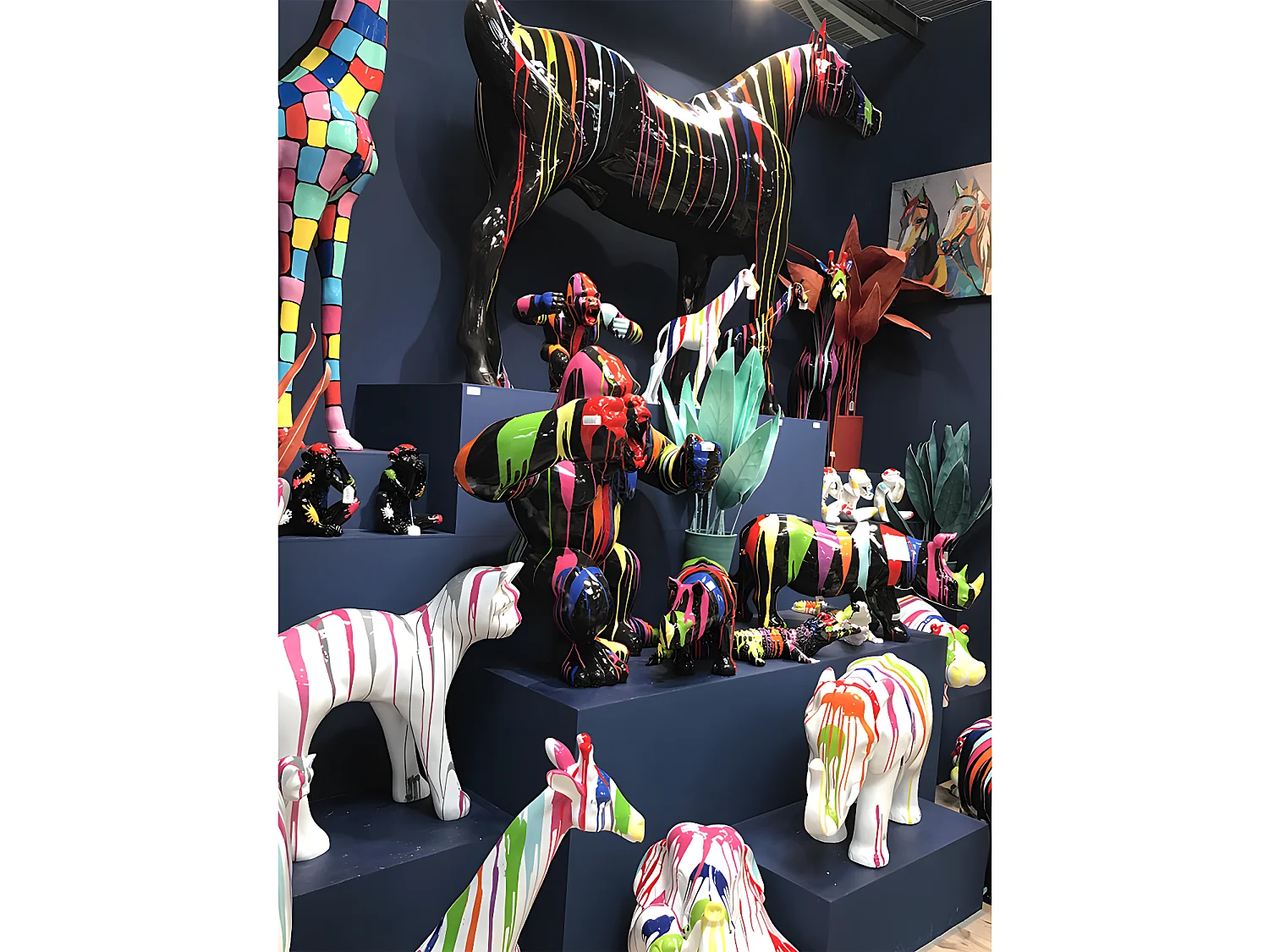 Singe sage Splash oreille