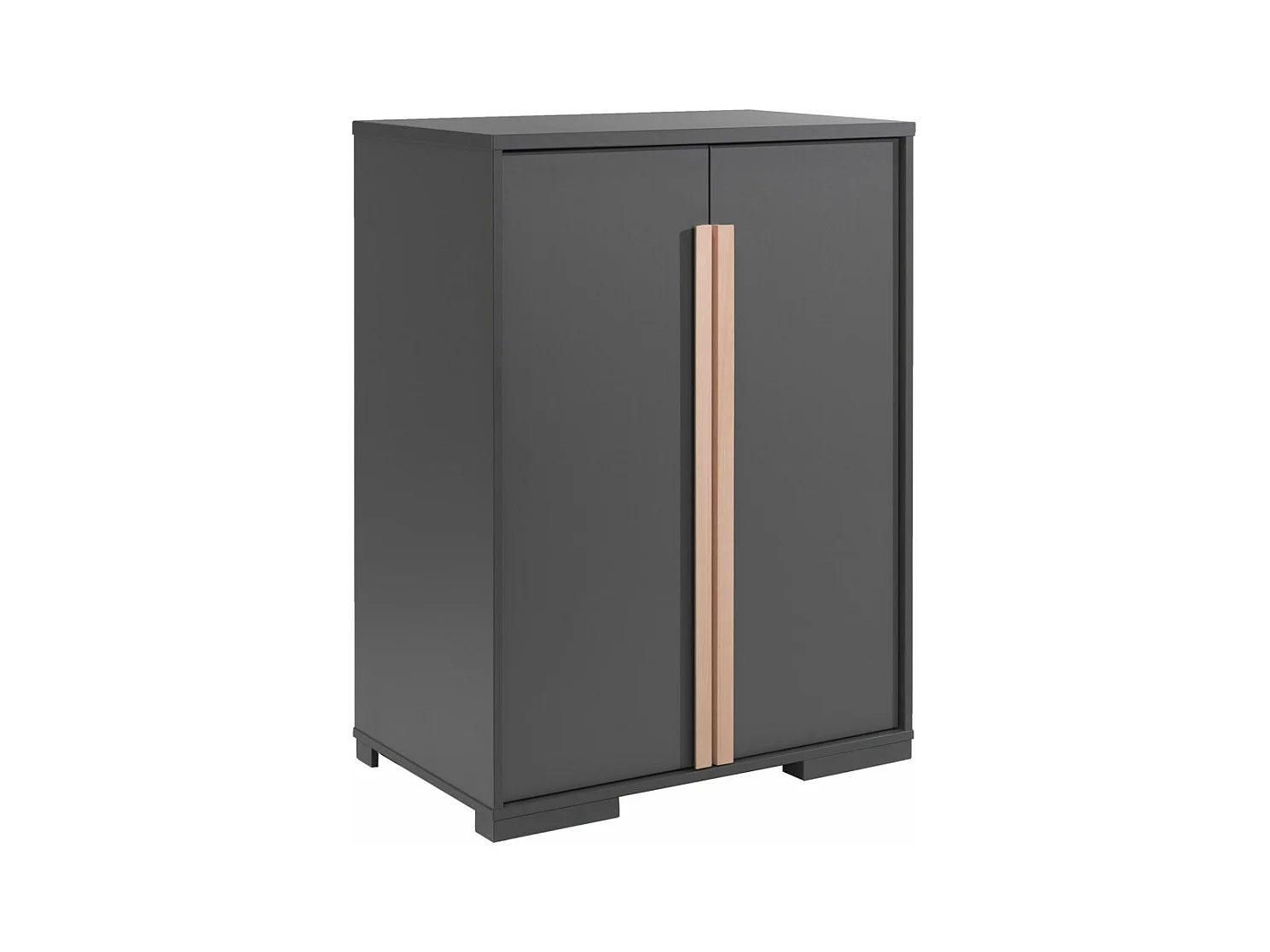 NASH DARK - Buffet Bas 2 Portes Anthracite et Bois