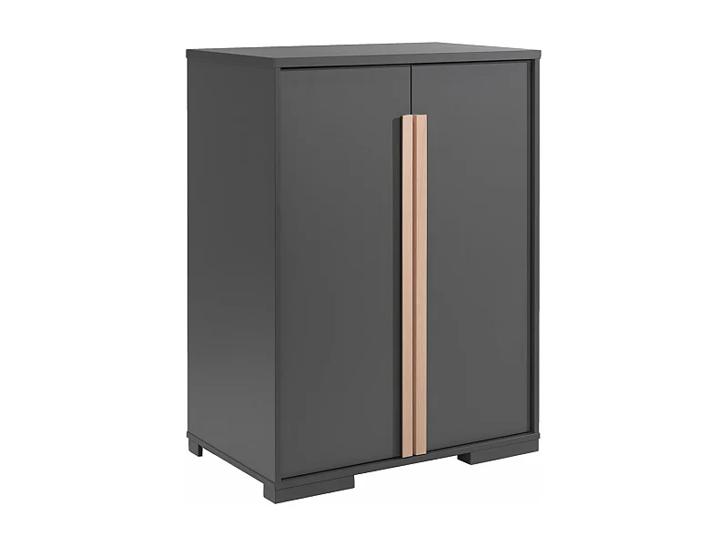 NASH DARK - Buffet Bas 2 Portes Anthracite et Bois