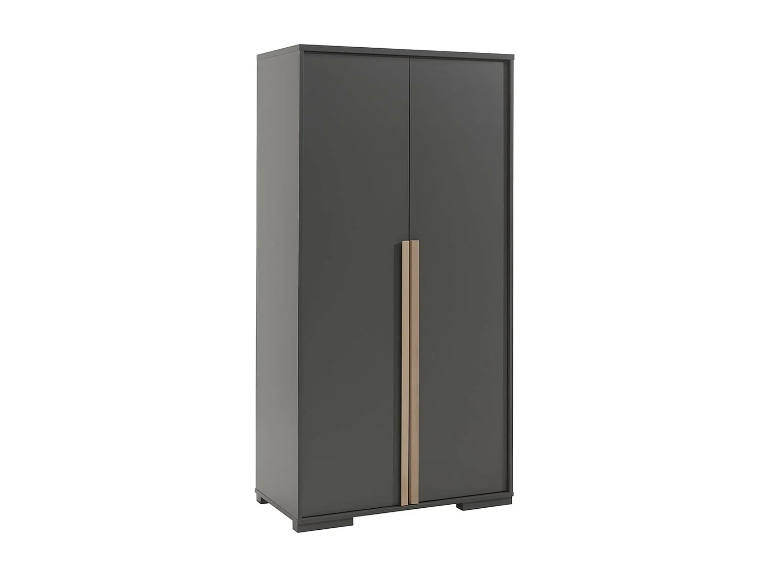 NASH DARK - Armoire 2 Portes Anthracite et Bois