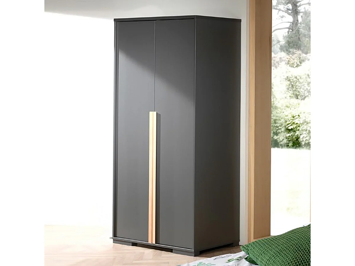 NASH DARK - Armoire 2 Portes Anthracite et Bois