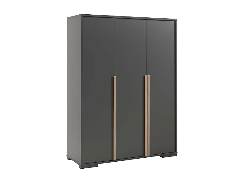 NASH DARK - Armoire 3 Portes Anthracite et Bois