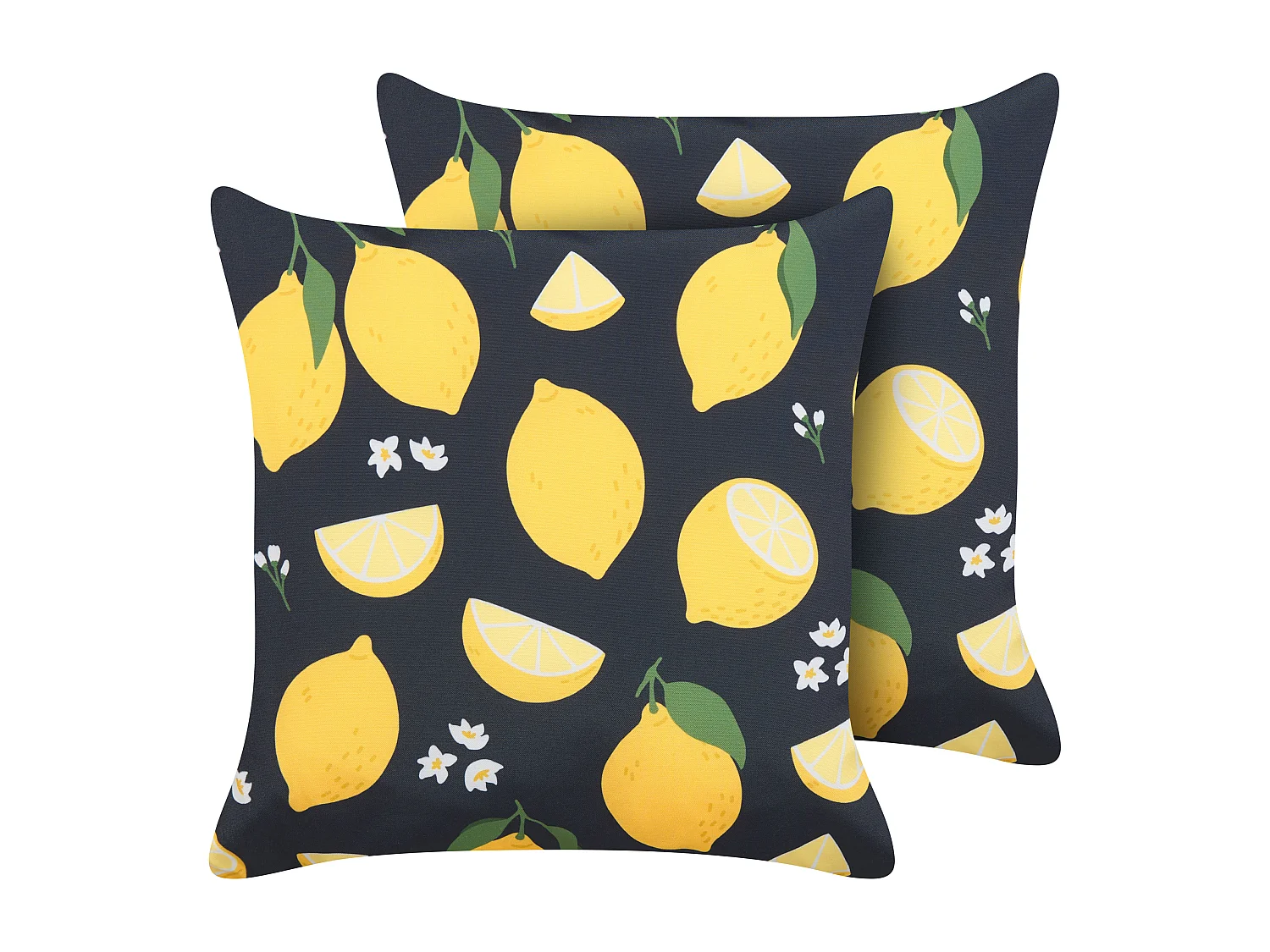 Lot de 2 coussins décoratifs CITRUS 45 x 45 cm Noir Motif de plante