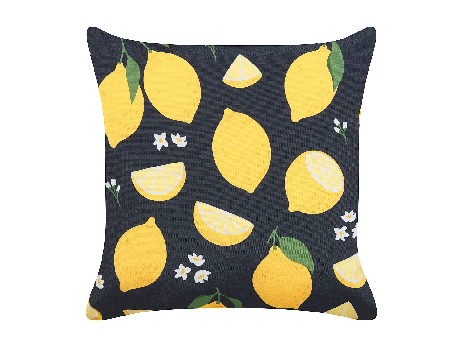 Lot de 2 coussins décoratifs CITRUS 45 x 45 cm Noir Motif de plante