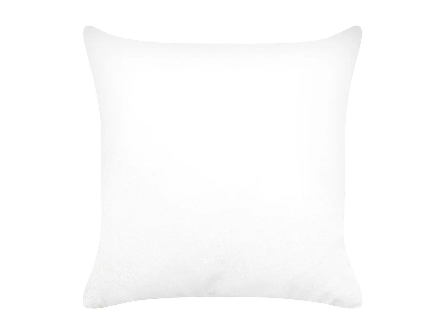 Lot de 2 coussins décoratifs CITRUS 45 x 45 cm Noir Motif de plante