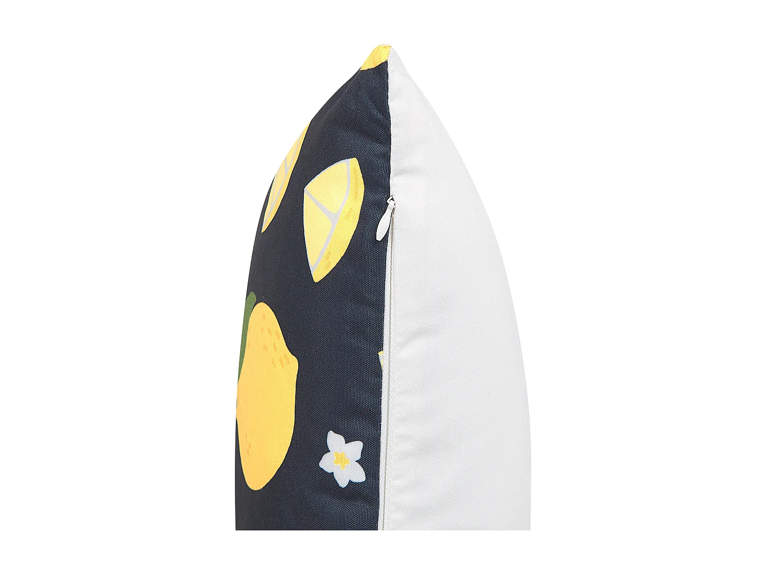 Lot de 2 coussins décoratifs CITRUS 45 x 45 cm Noir Motif de plante