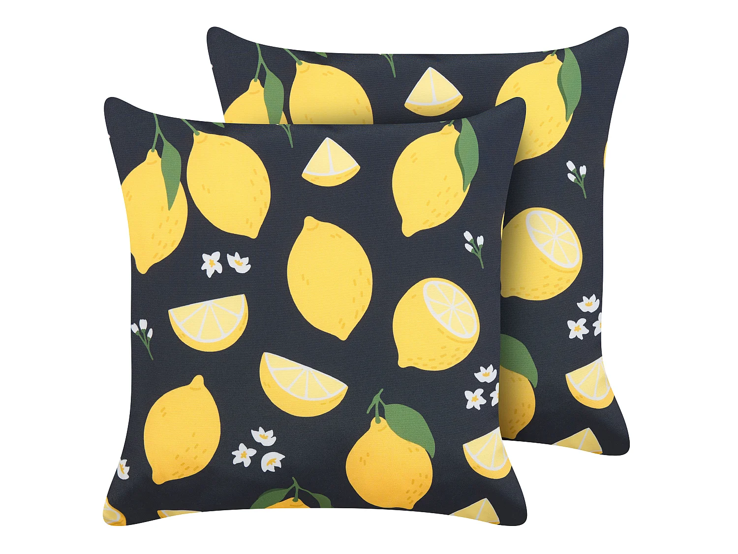 Lot de 2 coussins décoratifs CITRUS 45 x 45 cm Noir Motif de plante