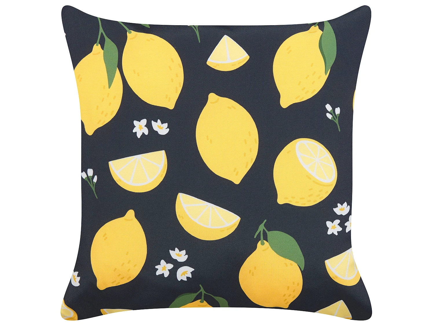 Lot de 2 coussins décoratifs CITRUS 45 x 45 cm Noir Motif de plante