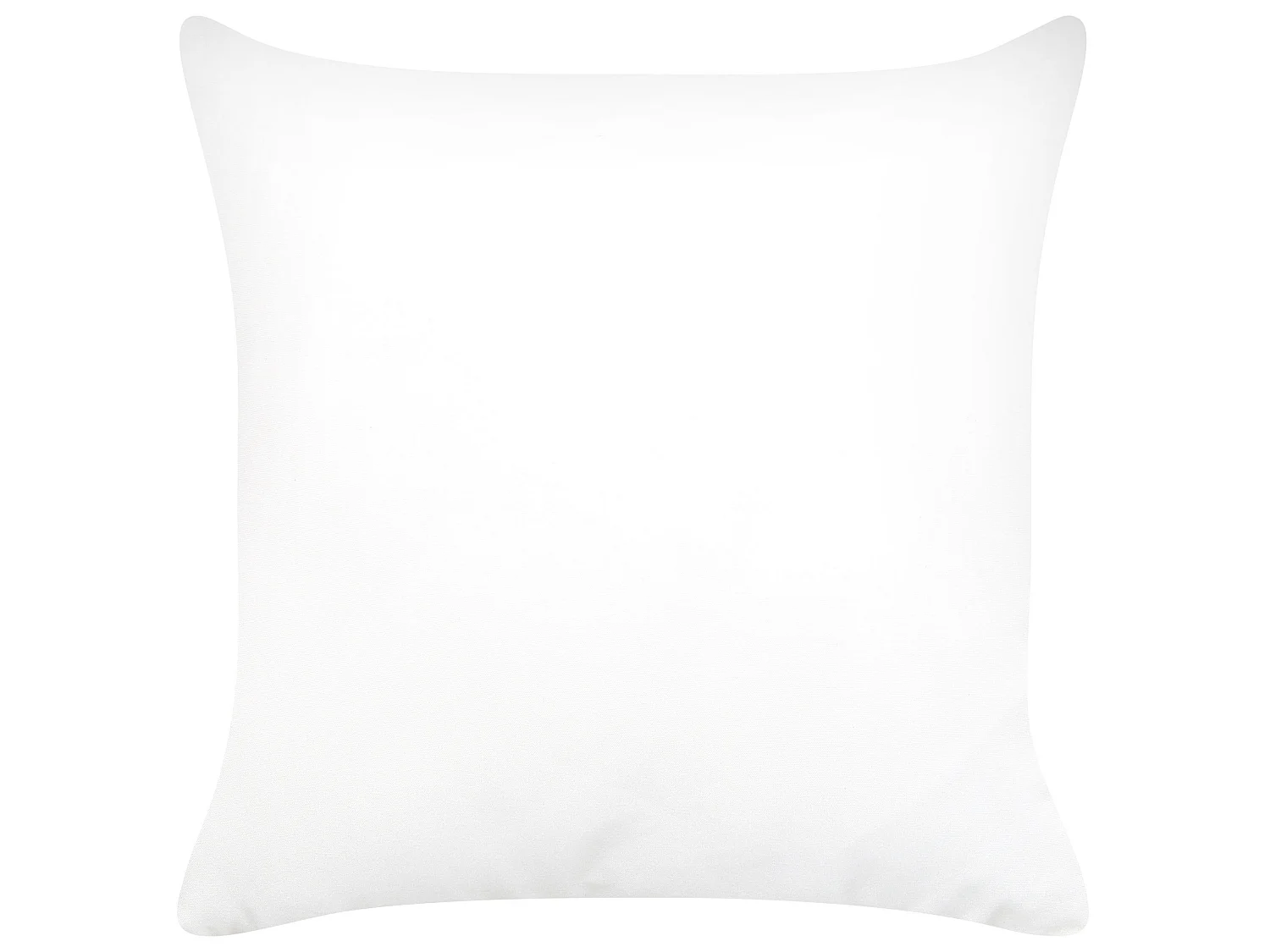 Lot de 2 coussins décoratifs CITRUS 45 x 45 cm Noir Motif de plante