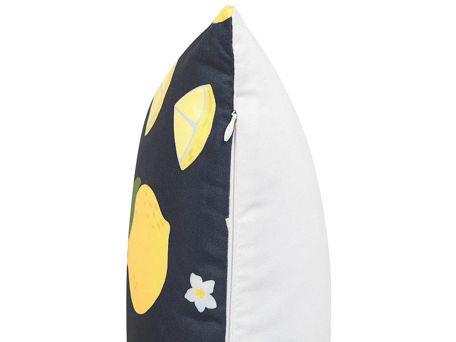 Lot de 2 coussins décoratifs CITRUS 45 x 45 cm Noir Motif de plante
