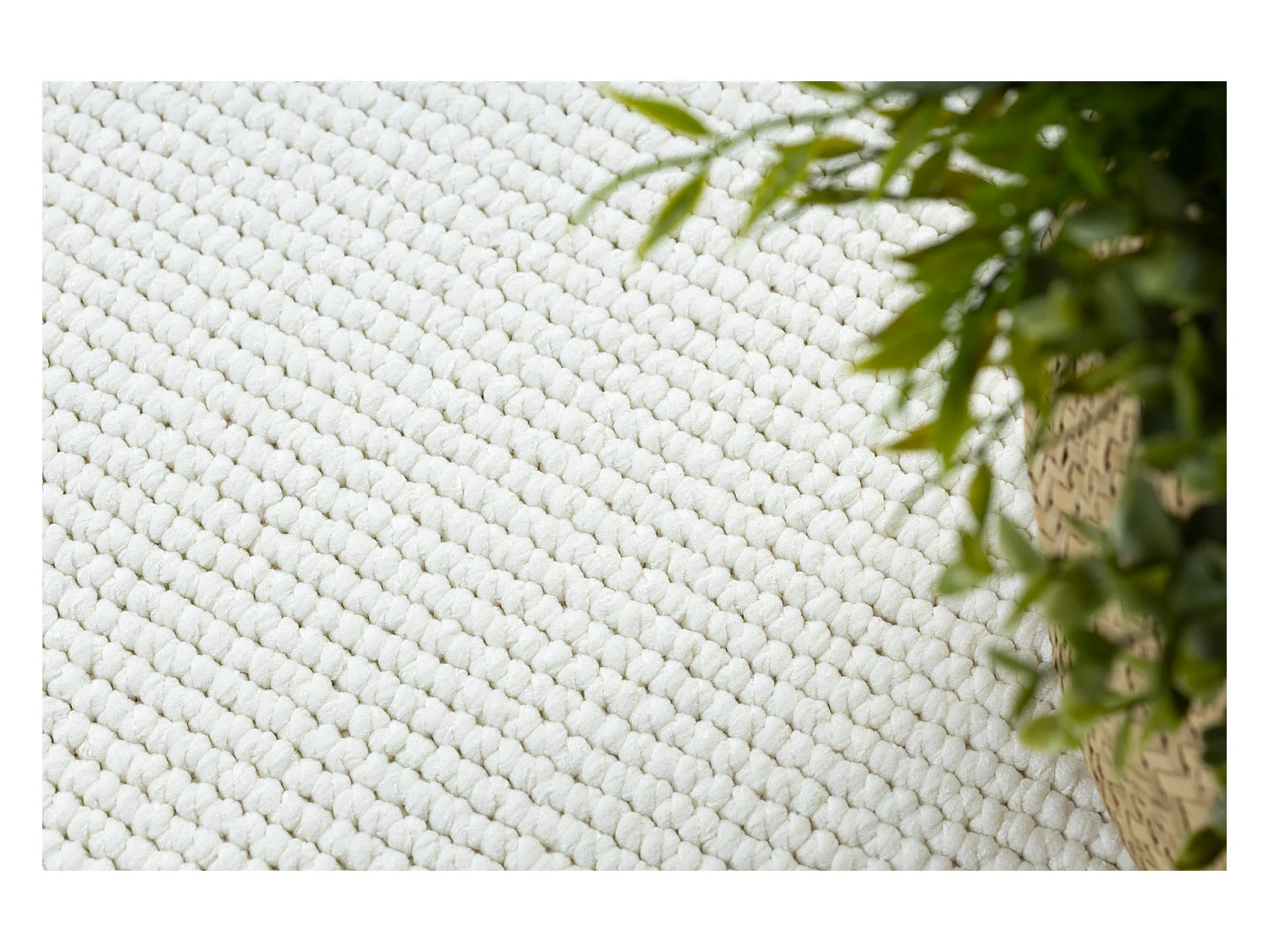 Tapete CASABLANCA PLUS creme Monocromático, laço 300x350 cm