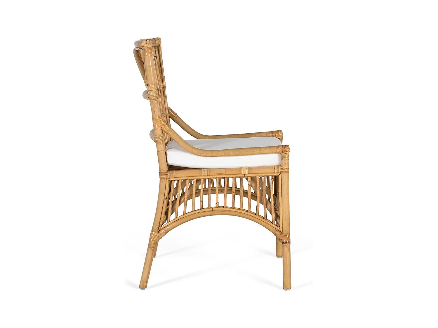 Ensemble de deux chaises en rotin avec coussins rembourrés