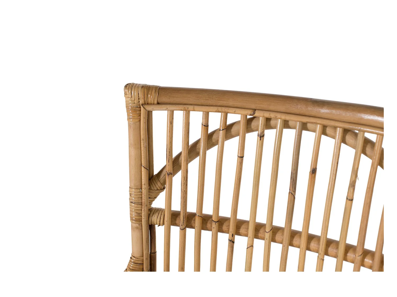 Ensemble de deux chaises en rotin avec coussins rembourrés