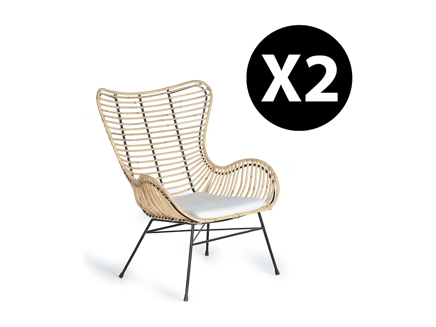 Lot de 2 chaises en rotin et métal