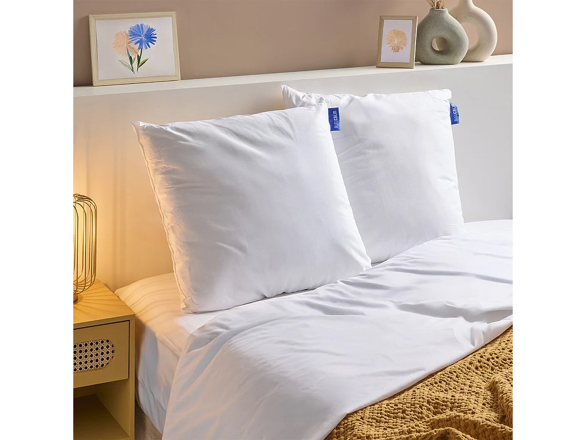 Lot de 2 Oreillers Ferme Coton Bio 60x60cm