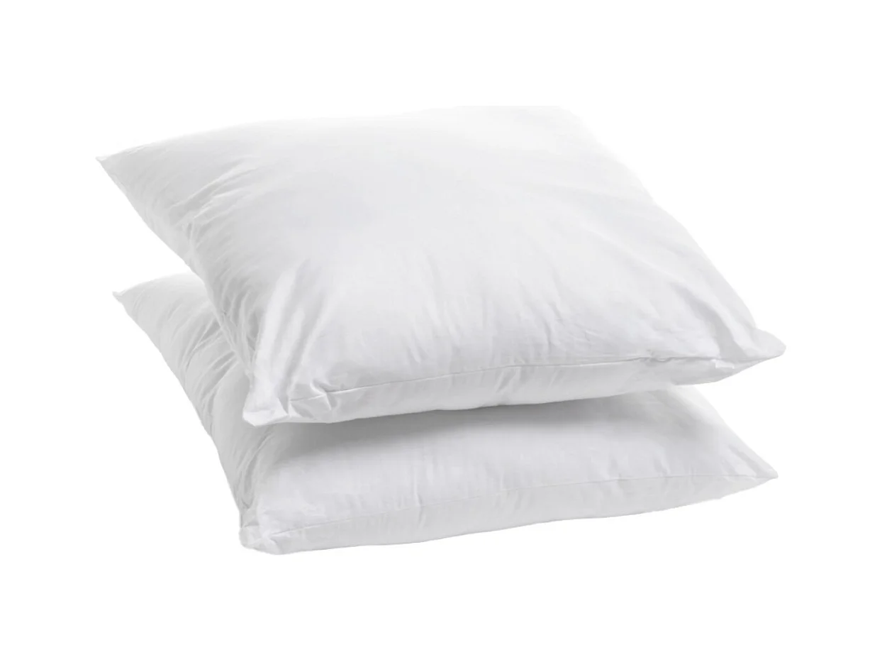Lot de 2 Oreillers Ferme Coton Bio 60x60cm