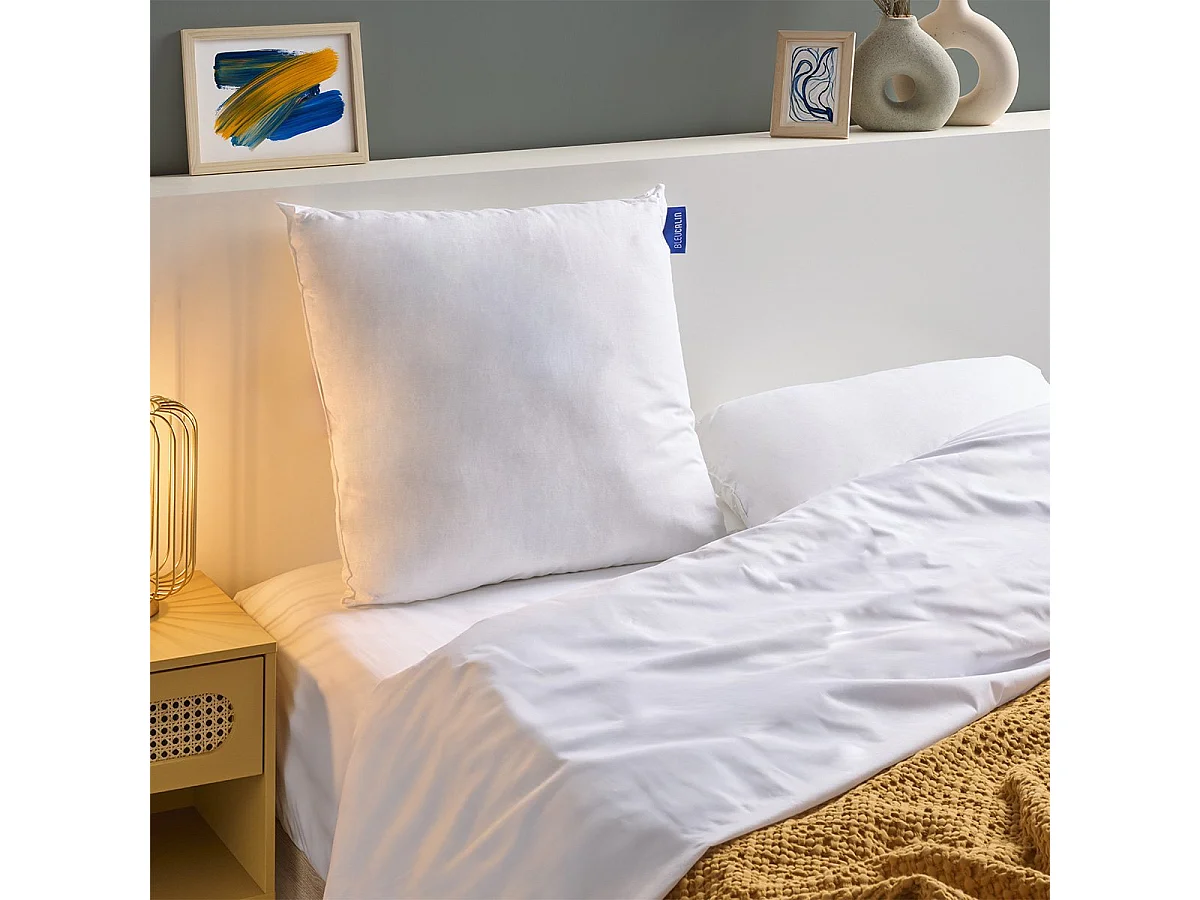 Oreiller Ferme Coton Bio 60x60cm