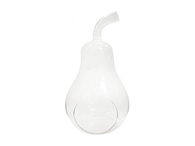 Terrarium plantes 18 cm en verre transparent forme poire - GLASSBOX