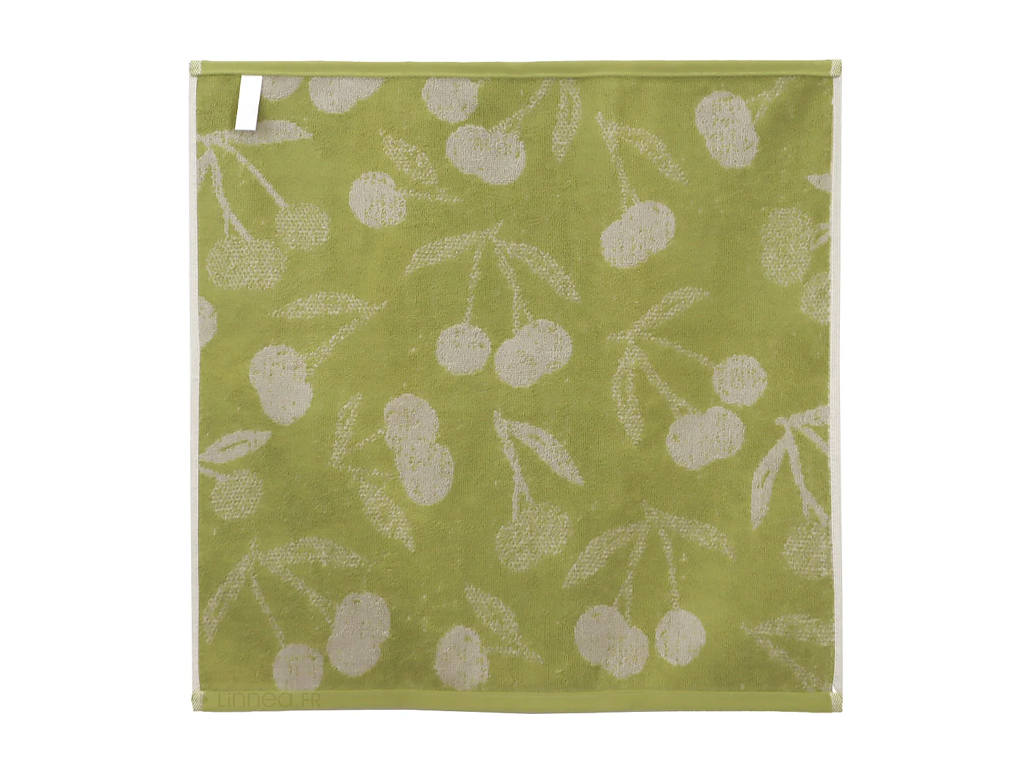 Lot de 2 torchons de cuisine éponge 50x50 cm coton BING vert