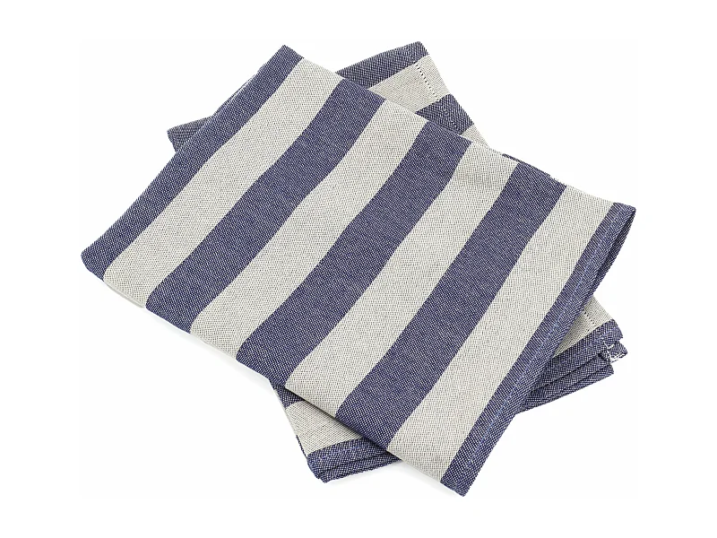 Lot de 2 torchons de cuisine toile 50x70 cm coton PAT bleu