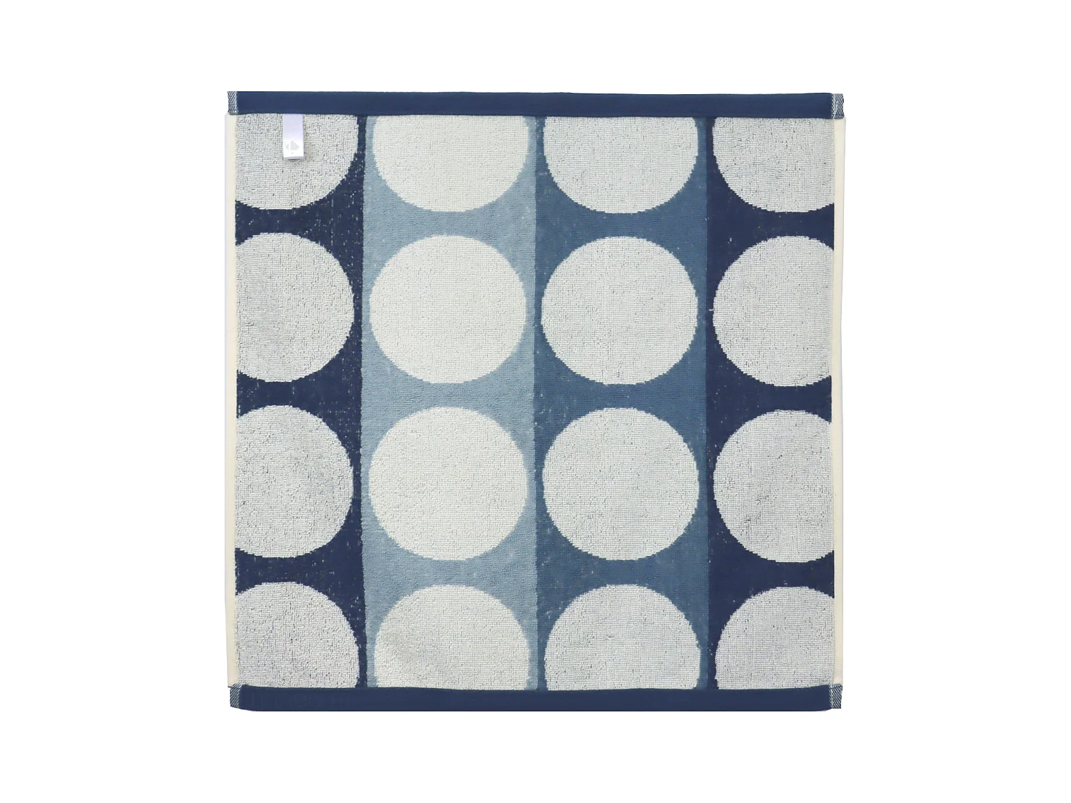 Lot de 2 torchons de cuisine éponge 50x50 cm coton GLOBUS bleu