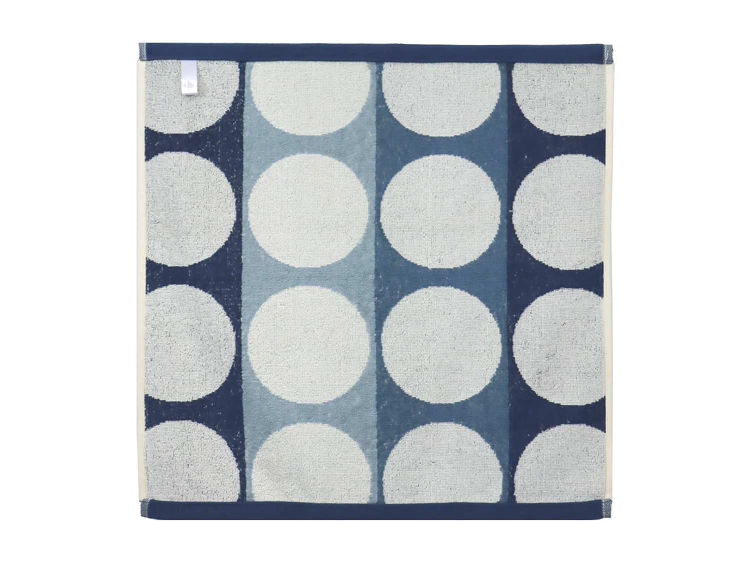 Lot de 2 torchons de cuisine éponge 50x50 cm coton GLOBUS bleu