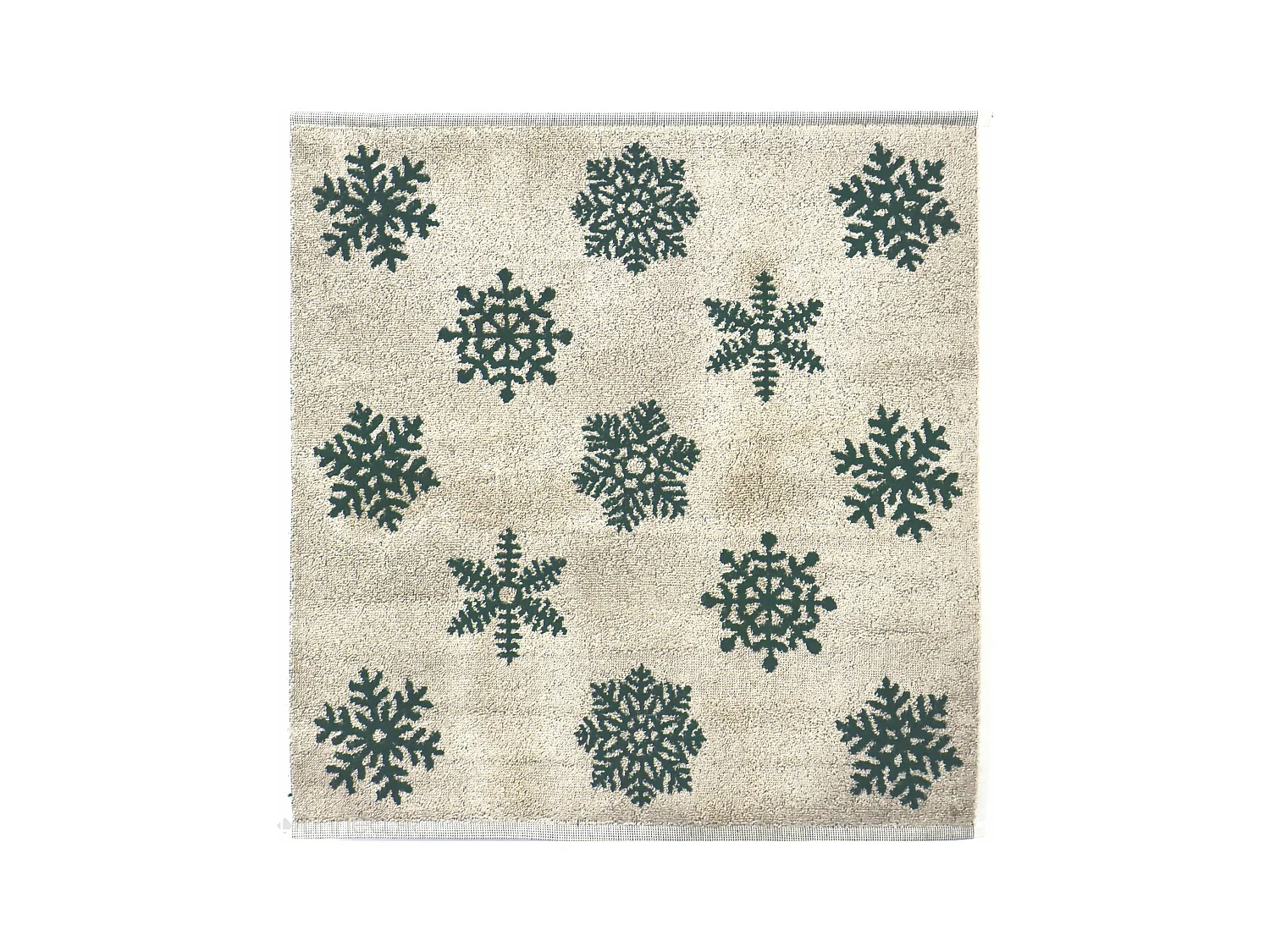 Lot de 2 torchons de cuisine éponge 50x50 cm coton ICE vert