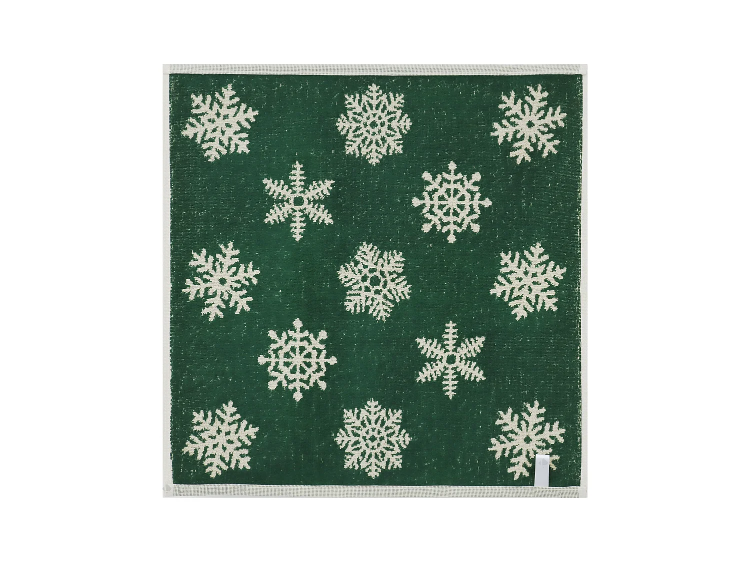 Lot de 2 torchons de cuisine éponge 50x50 cm coton ICE vert