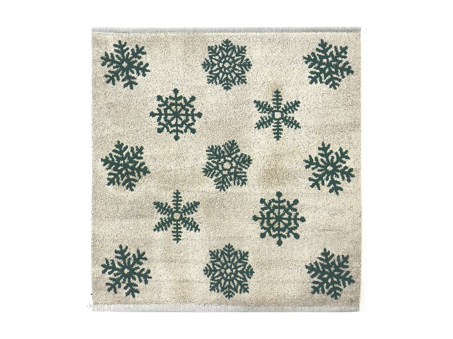 Lot de 2 torchons de cuisine éponge 50x50 cm coton ICE vert