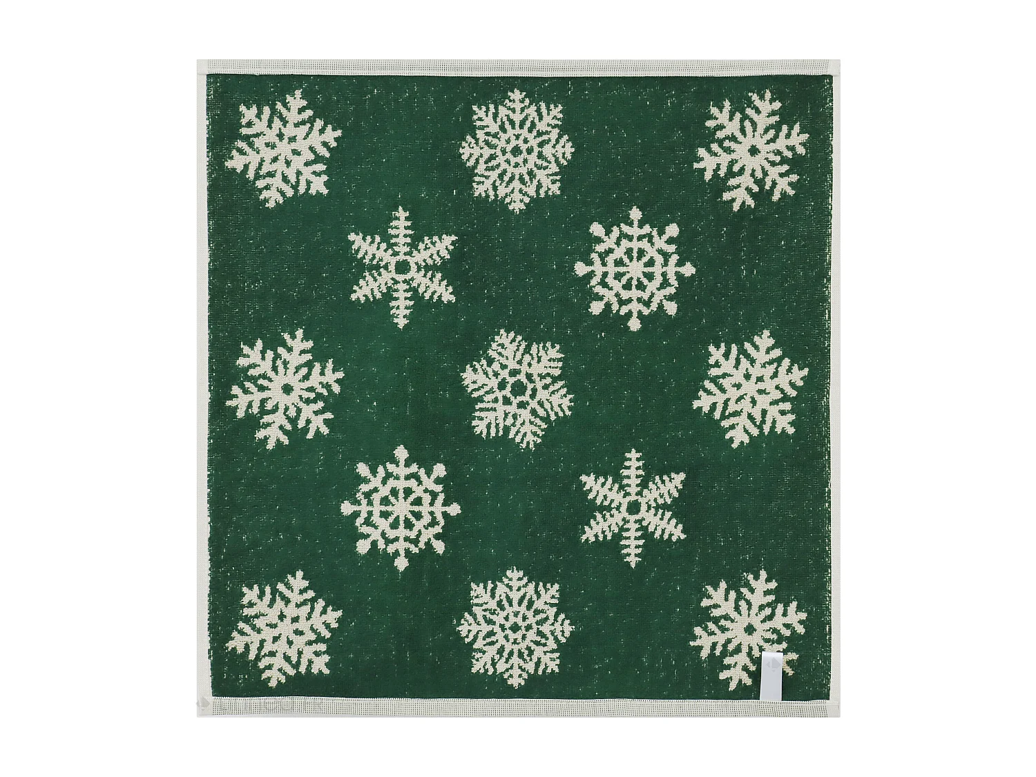 Lot de 2 torchons de cuisine éponge 50x50 cm coton ICE vert