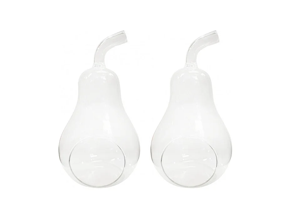 Lot de 2 vases à poser terrarium verre transparent poire - GLASSSBOX