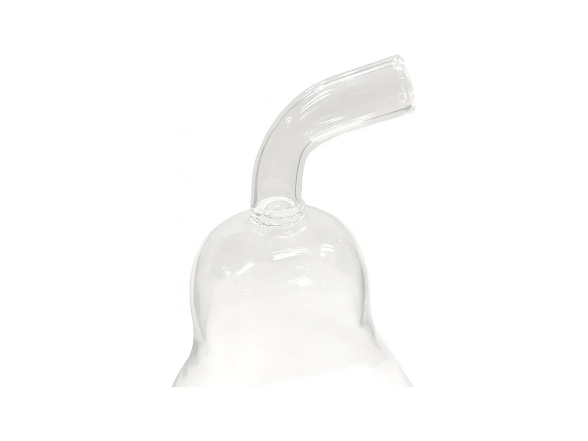 Lot de 2 vases à poser terrarium verre transparent poire - GLASSSBOX