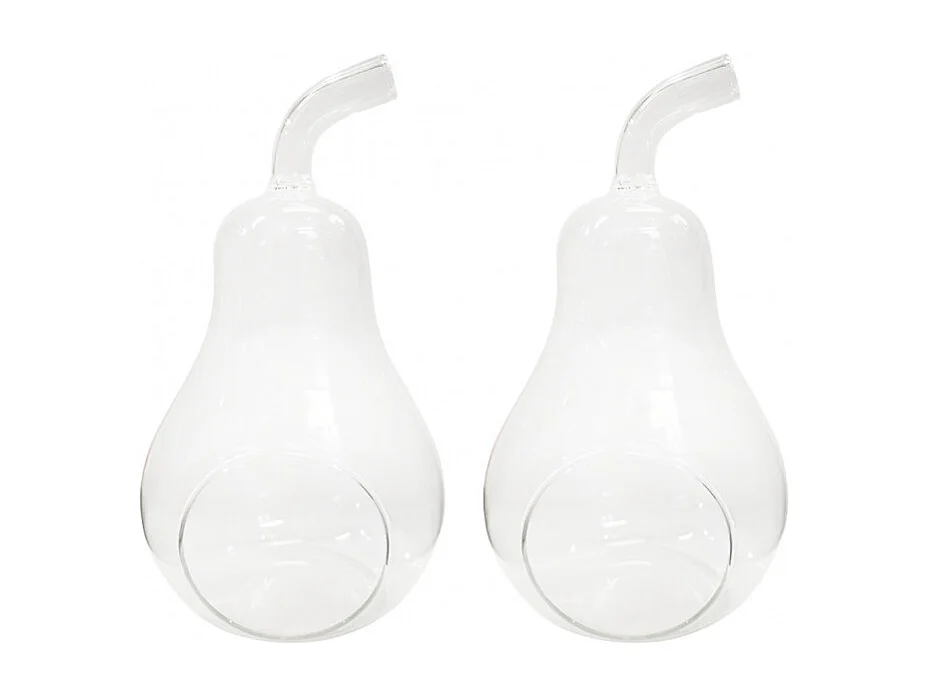 Lot de 2 vases à poser terrarium verre transparent poire - GLASSSBOX