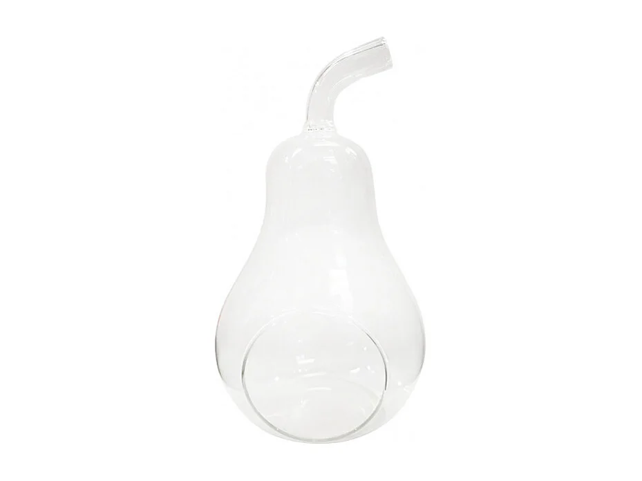 Lot de 2 vases à poser terrarium verre transparent poire - GLASSSBOX