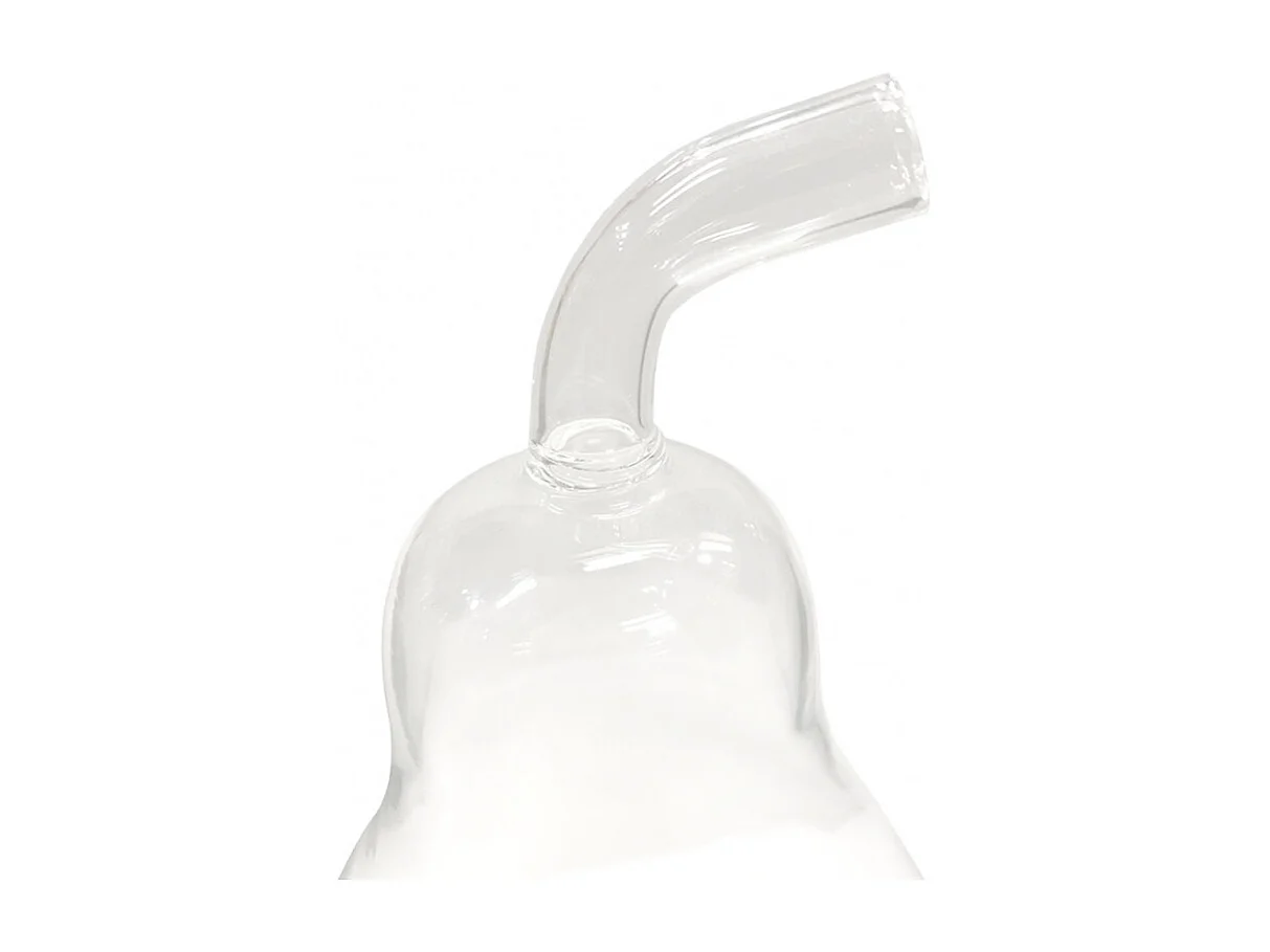 Lot de 2 vases à poser terrarium verre transparent poire - GLASSSBOX