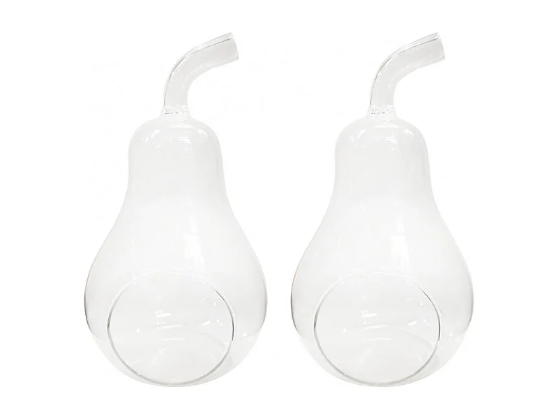 Lot de 2 vases à poser terrarium verre transparent poire - GLASSSBOX