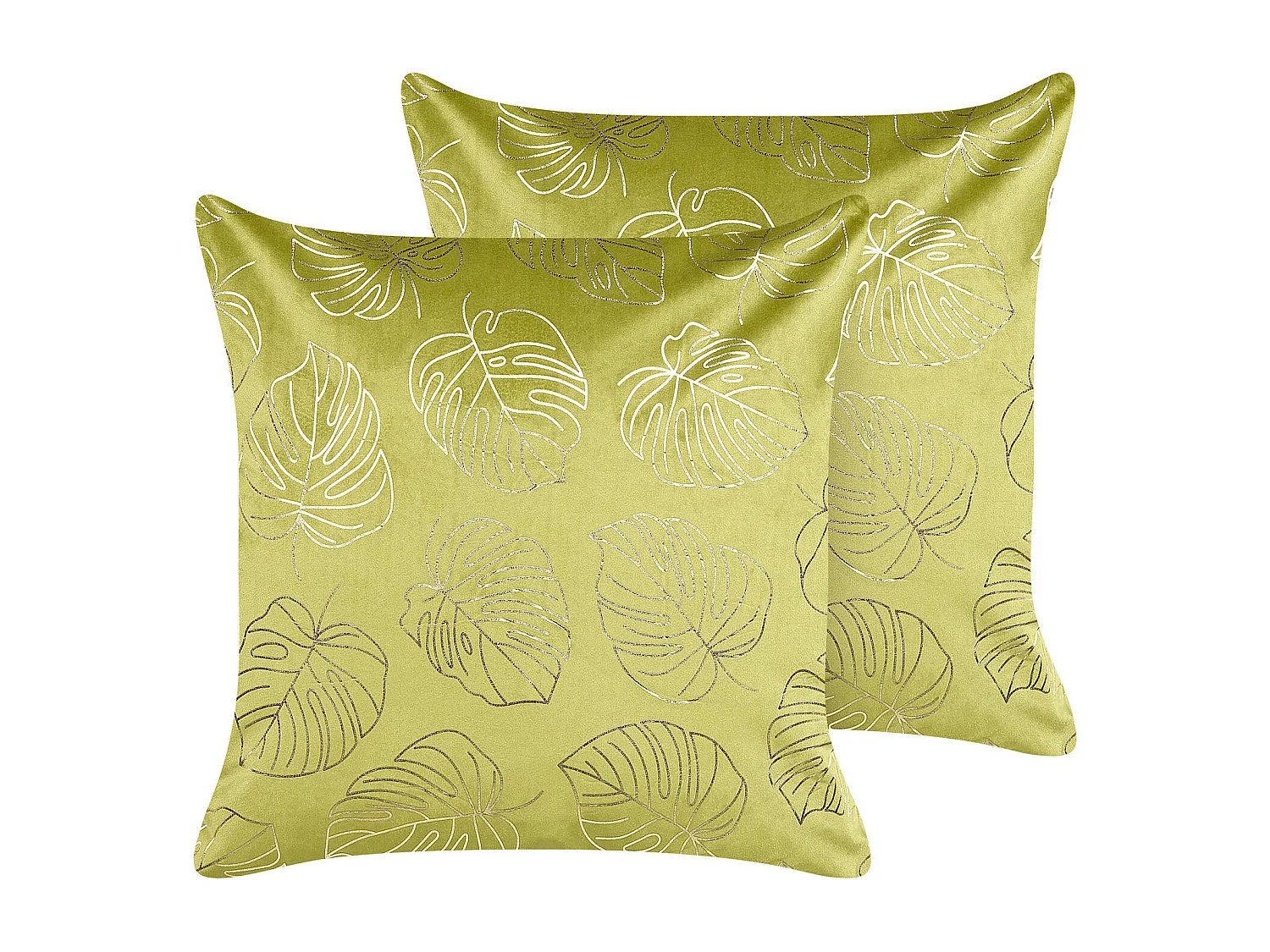 Lot de 2 coussins décoratifs DELICIOSA Velours 45 x 45 cm Vert clair Motif de plante