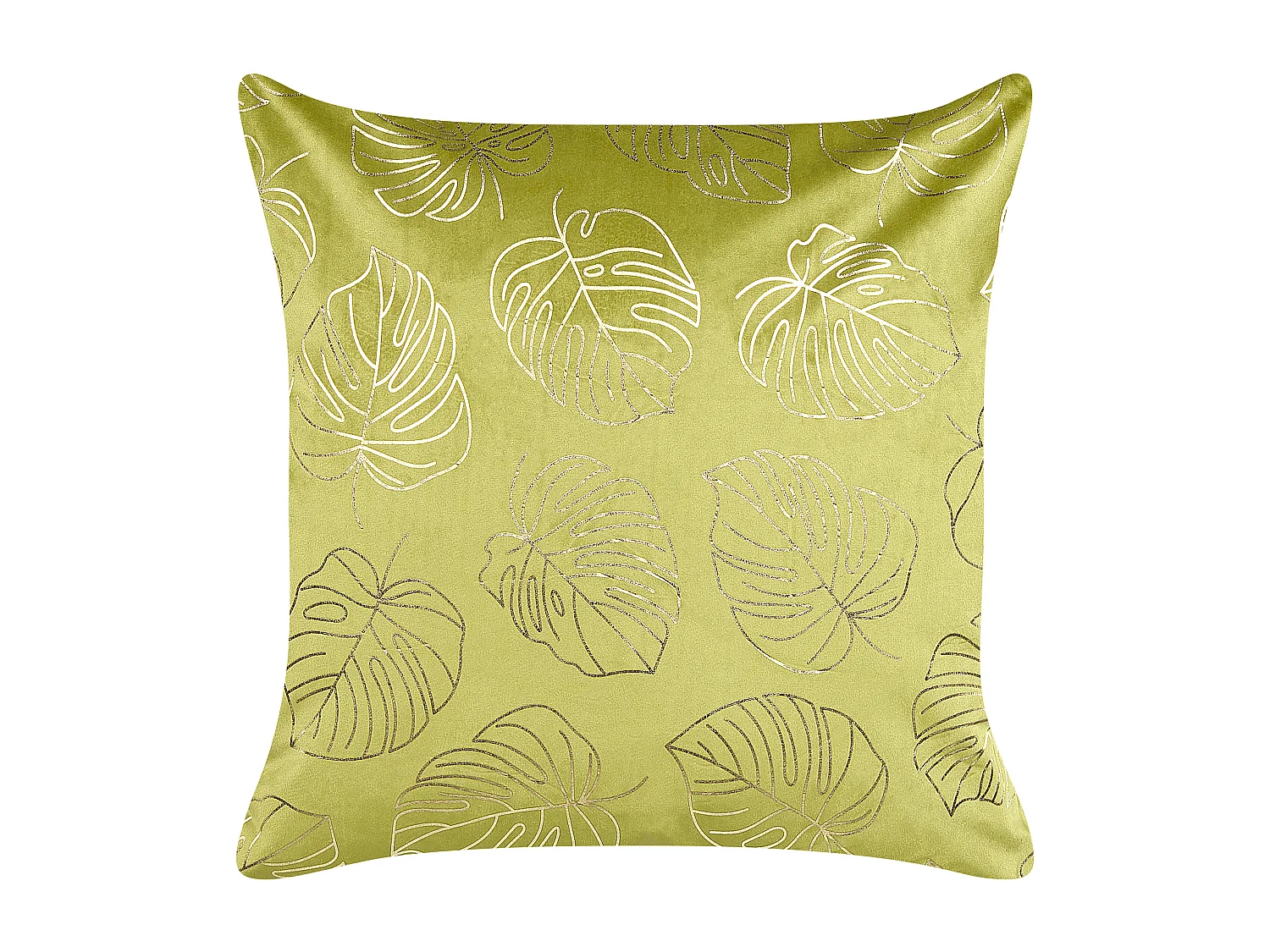 Lot de 2 coussins décoratifs DELICIOSA Velours 45 x 45 cm Vert clair Motif de plante