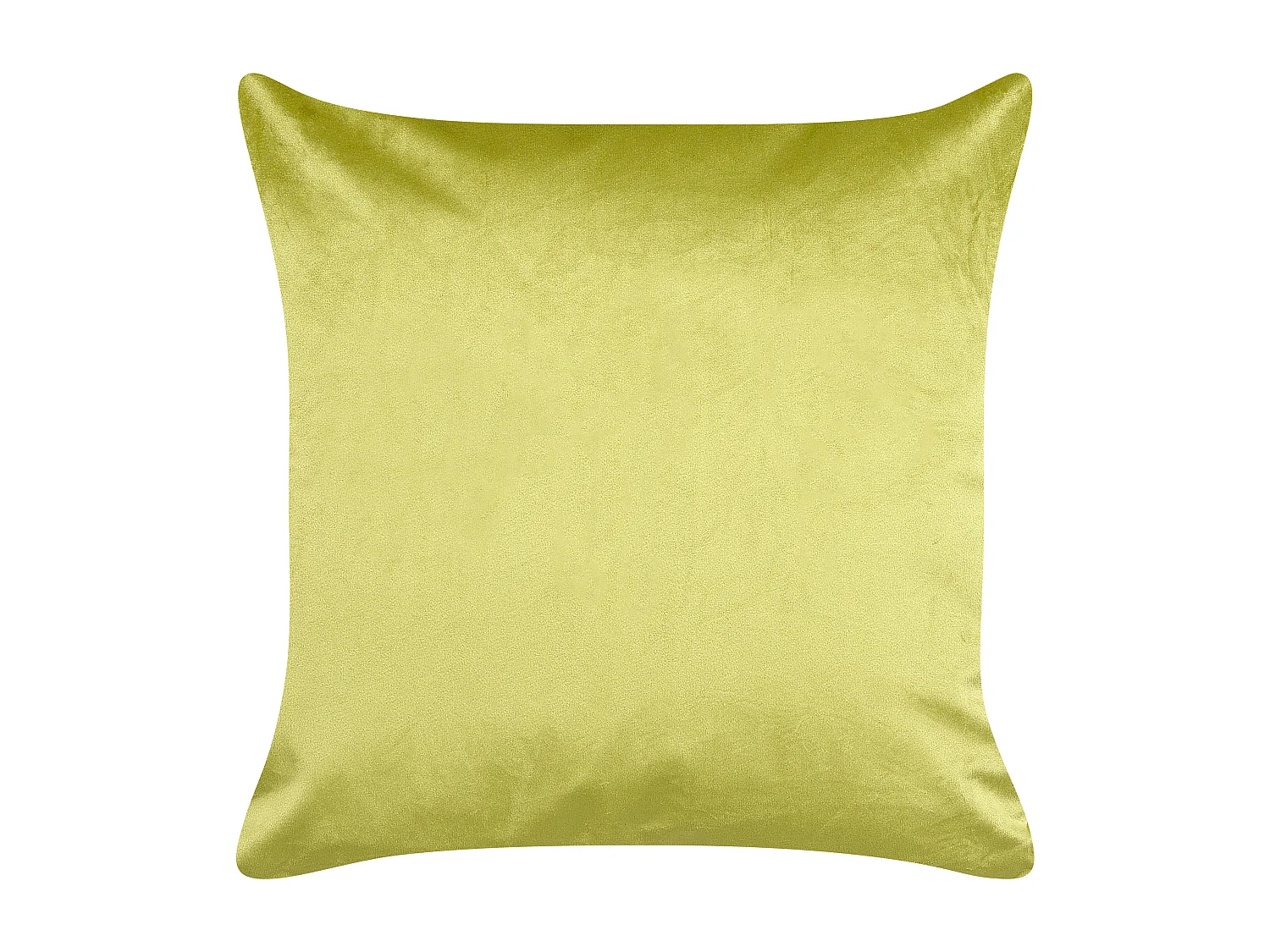 Lot de 2 coussins décoratifs DELICIOSA Velours 45 x 45 cm Vert clair Motif de plante