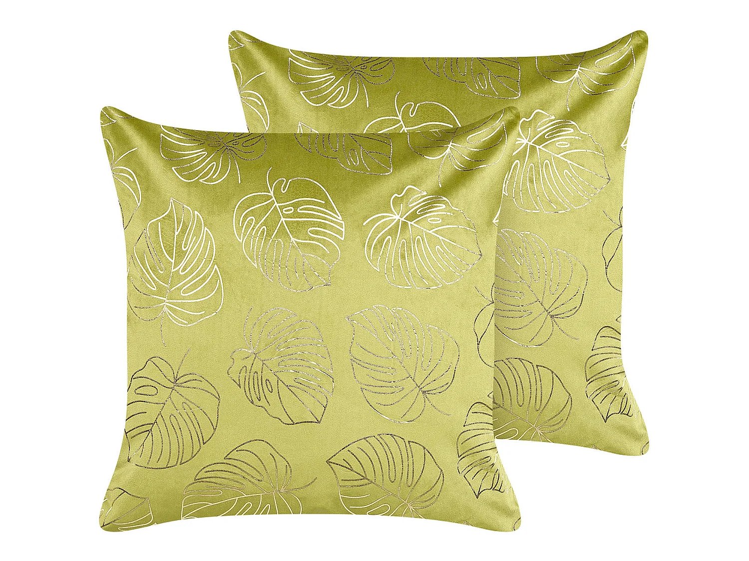 Lot de 2 coussins décoratifs DELICIOSA Velours 45 x 45 cm Vert clair Motif de plante