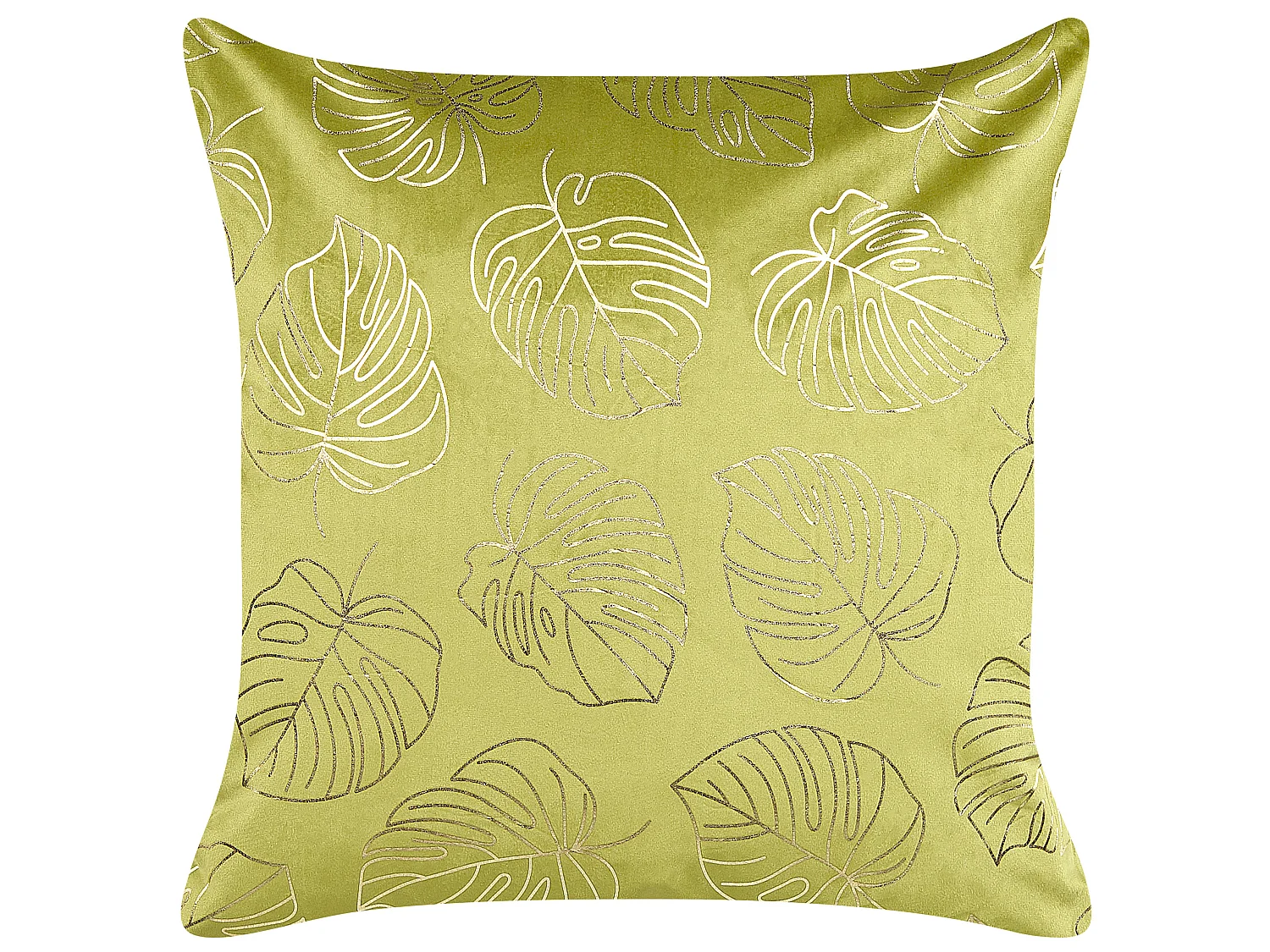 Lot de 2 coussins décoratifs DELICIOSA Velours 45 x 45 cm Vert clair Motif de plante