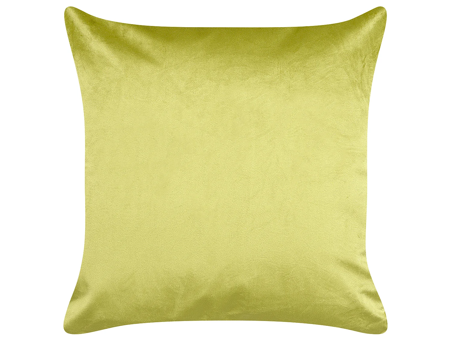 Lot de 2 coussins décoratifs DELICIOSA Velours 45 x 45 cm Vert clair Motif de plante