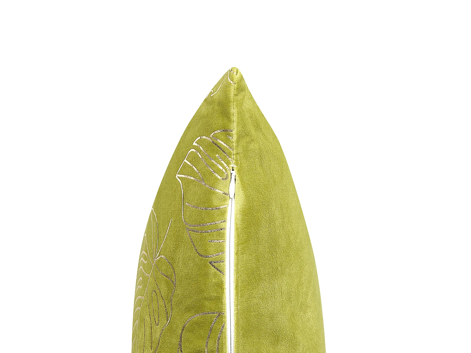 Lot de 2 coussins décoratifs DELICIOSA Velours 45 x 45 cm Vert clair Motif de plante