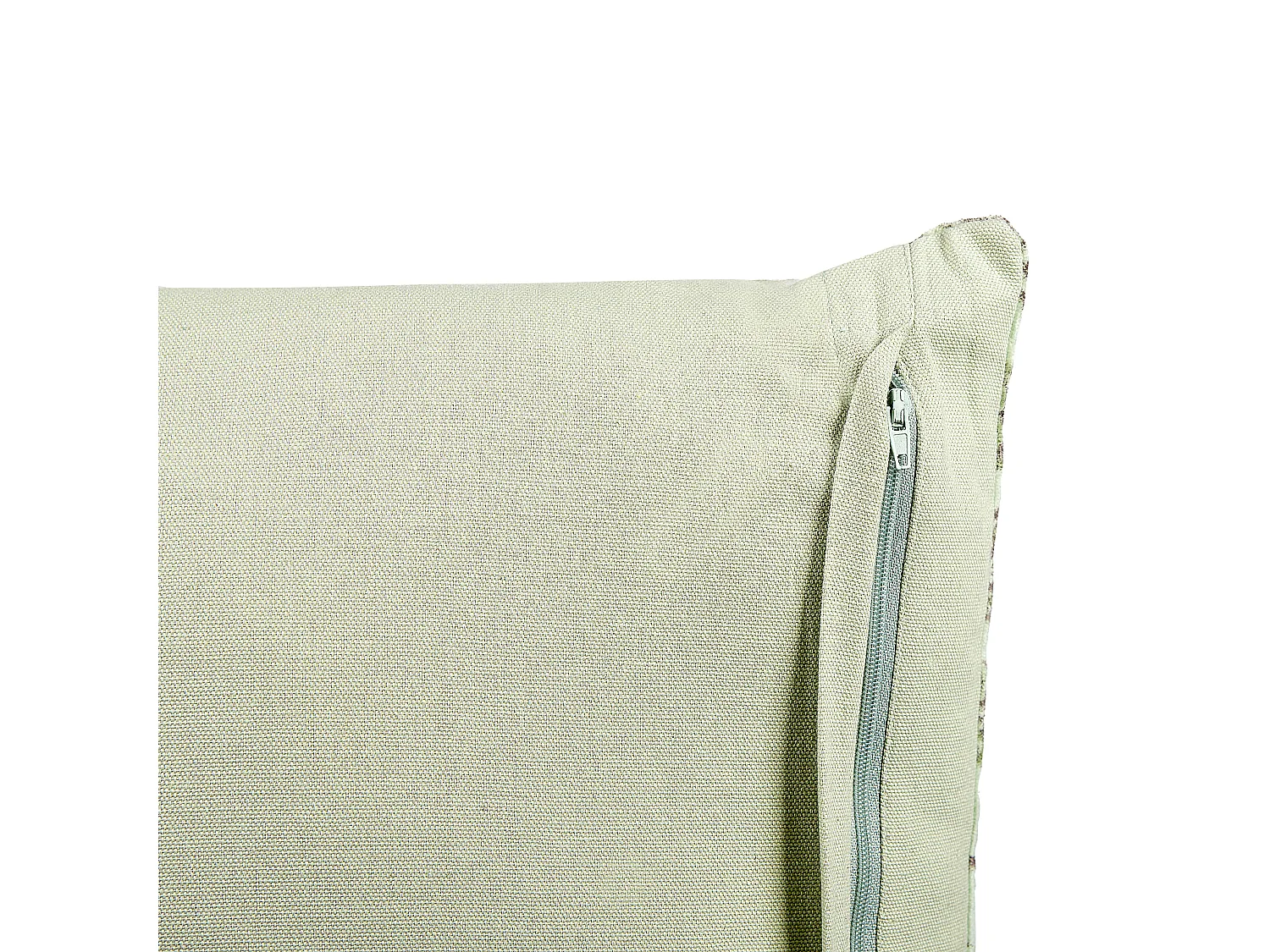 Lot de 2 coussins décoratifs RUNGIA Velours 45 x 45 cm Vert Motif floral