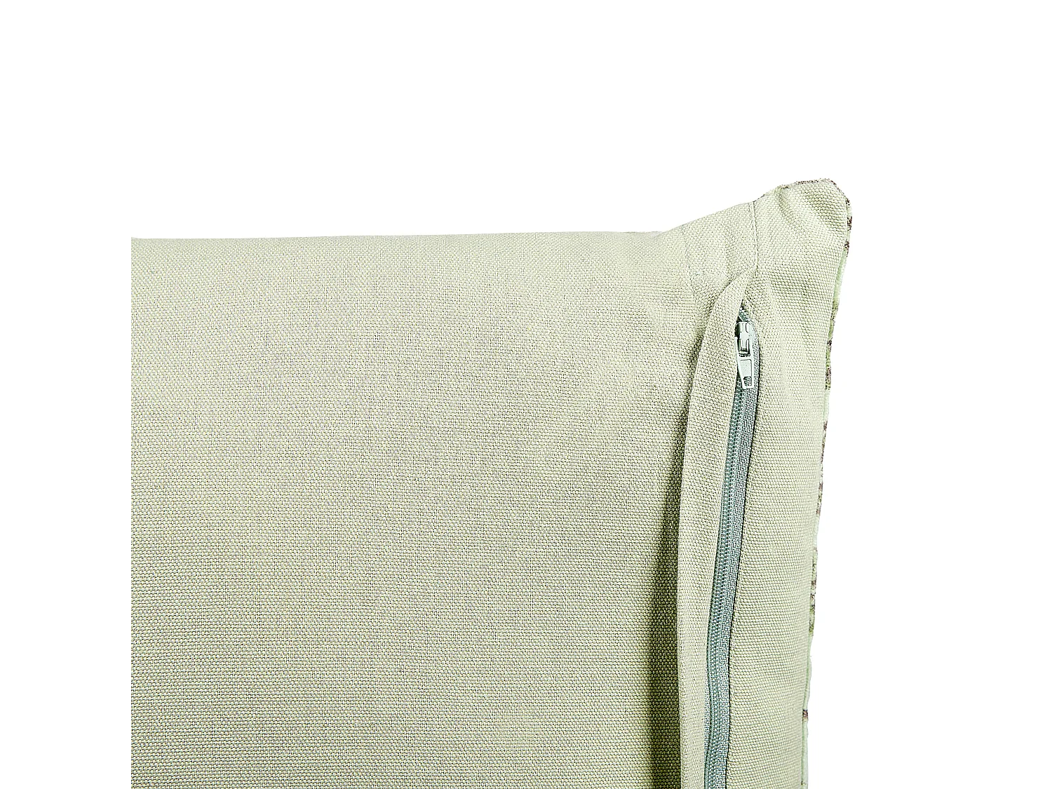 Conjunto de 2 almofadas decorativas RUNGIA Veludo 45 x 45 cm Verde Padrão floral