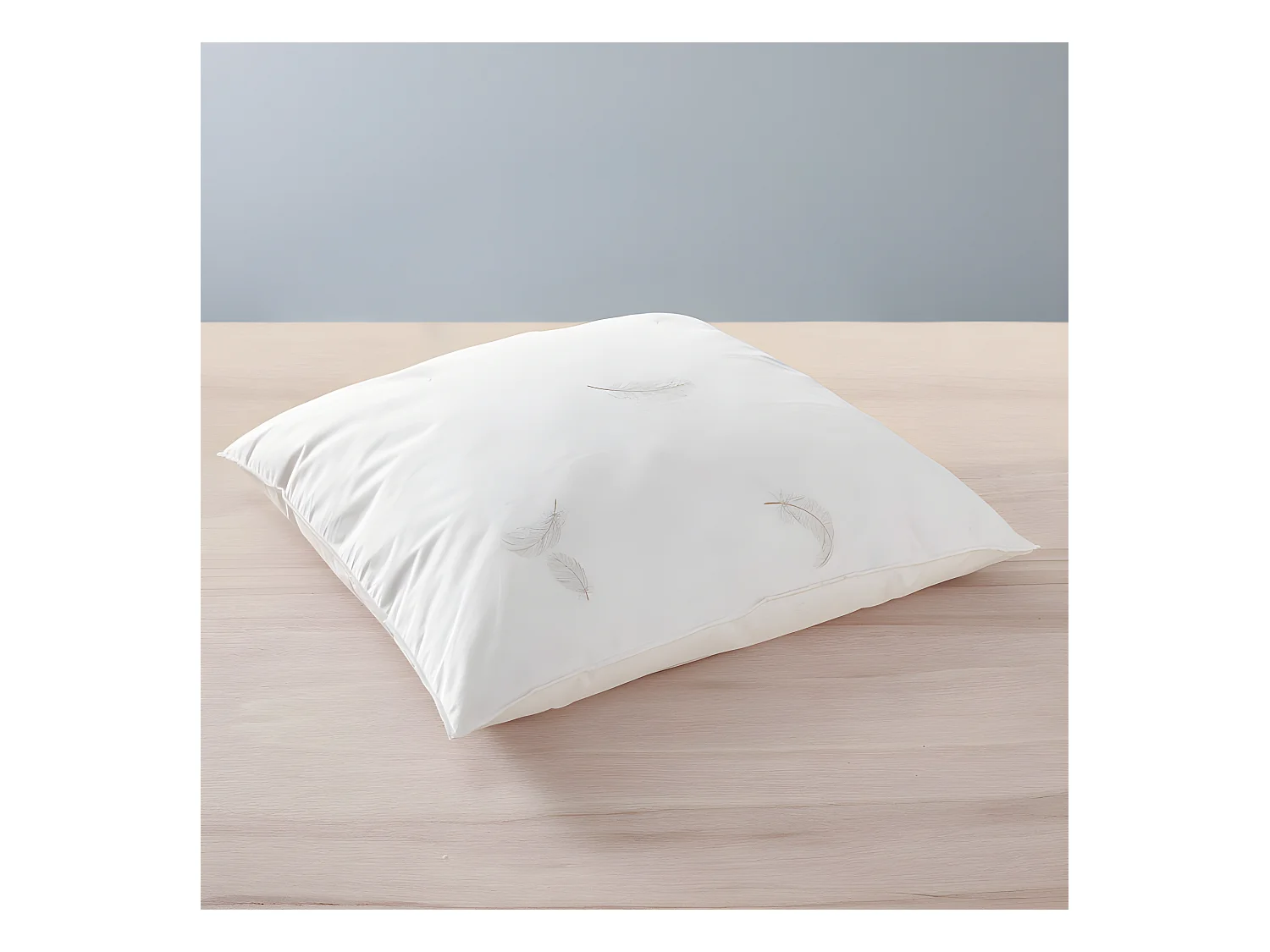 Oreiller 60 x 60 cm Blanrêve Gamme Naturelle "Prestige" plumes véritables