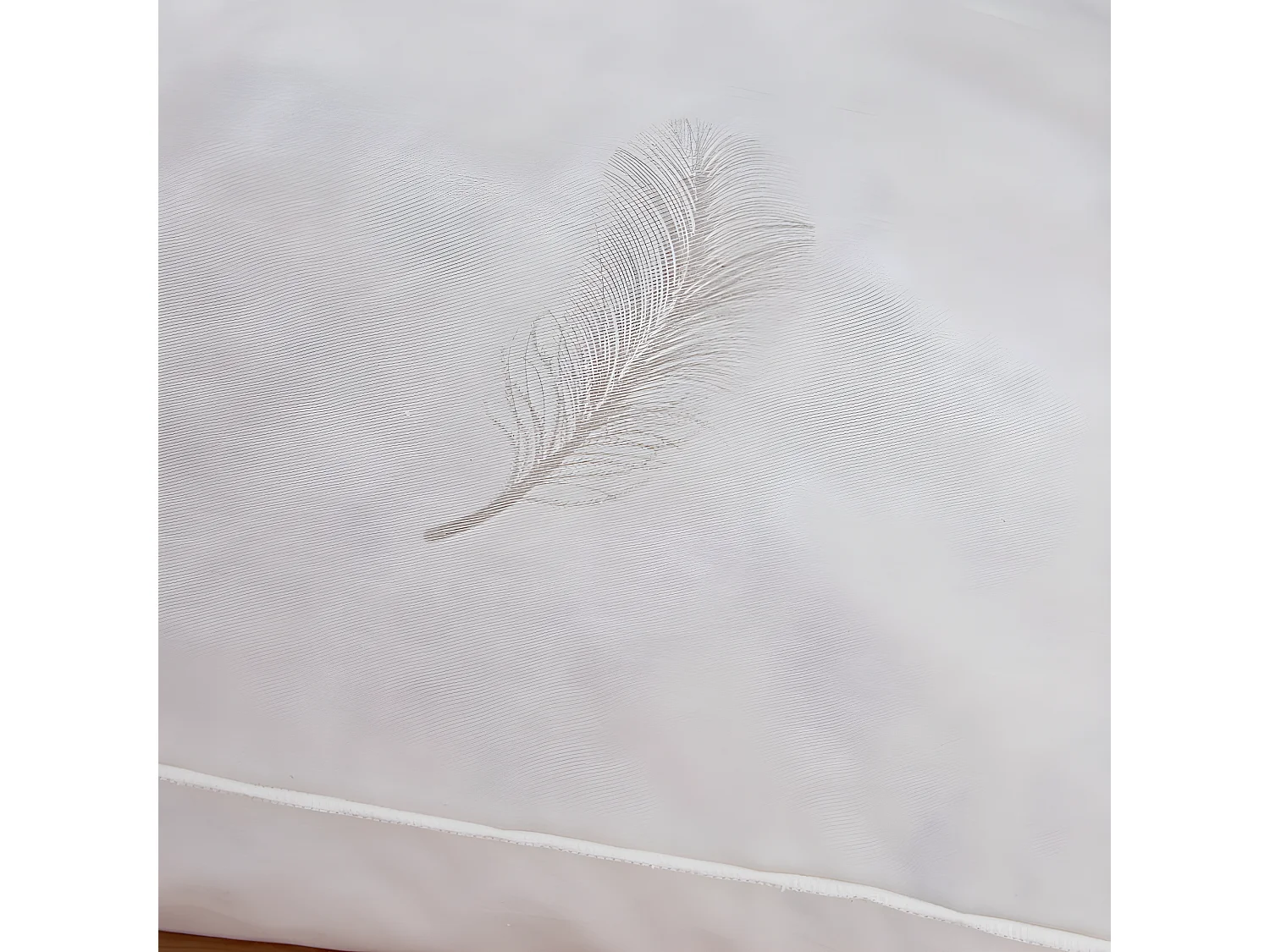 Oreiller 60 x 60 cm Blanrêve Gamme Naturelle "Prestige" plumes véritables