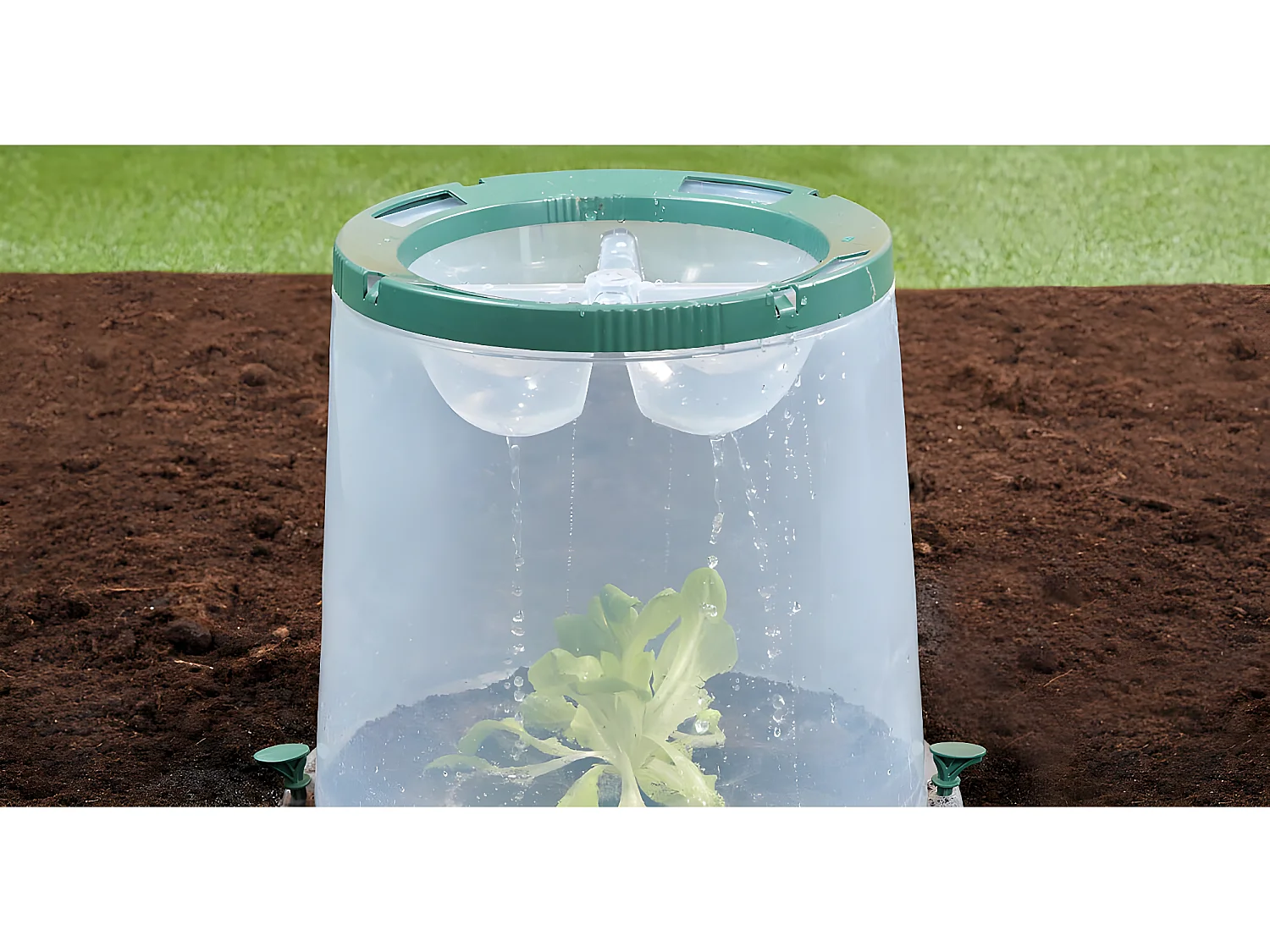 Kit de 3 cloches de culture "Sunny"